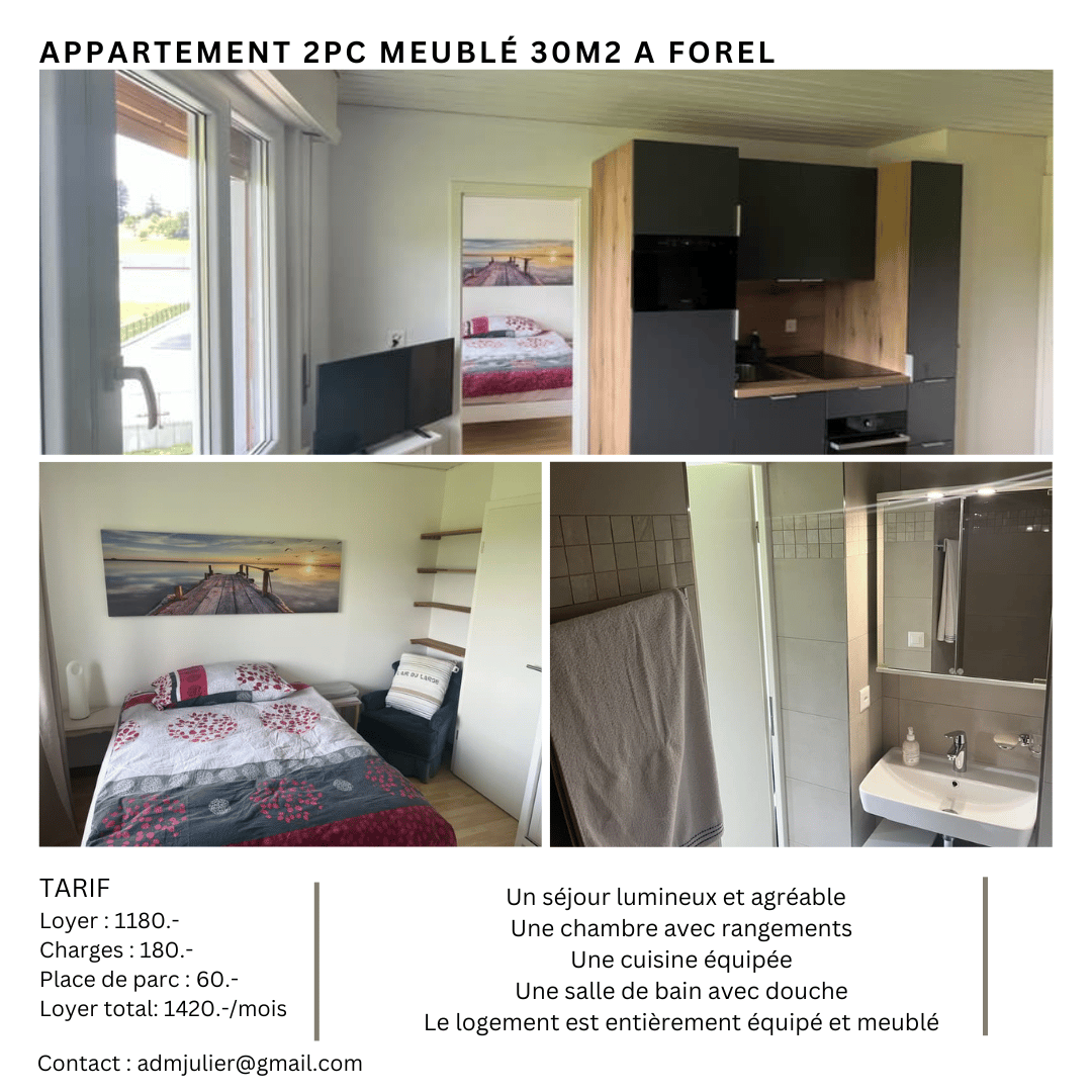 One bedroom, equipped kitchen, bathroom with shower, furnished, entire rental for 1420,-