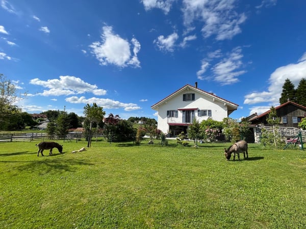 Magnifique maison de 2.5 pièces avec 3 appartements à Servion 2