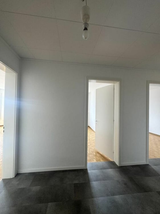 Appartement 1.5 pièces à Fribourg 6