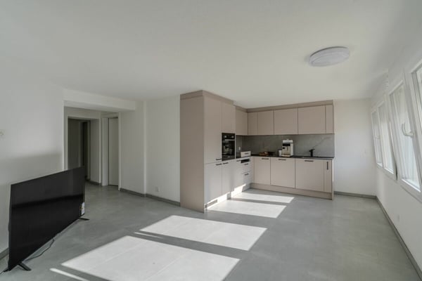 Daillon - Immeuble de charme avec un taux de rendement net à 4.36% - à vendre 3