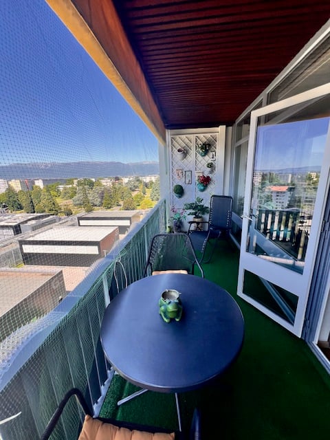 Viager – Magnifique appartement lumineux, vue panoramique et piscine sur le toit - Petit-Saconnex 4