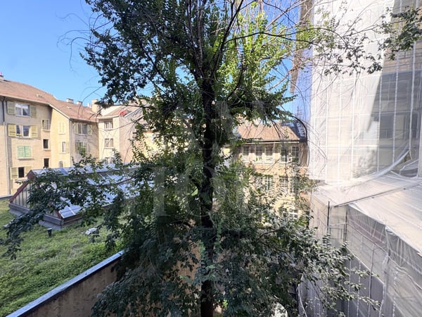 Studio meublé à louer au coeur de la Vieille-Ville 5