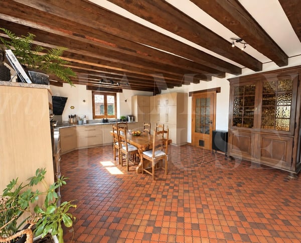 Spacieux appartement dans une magnifique propriété 3