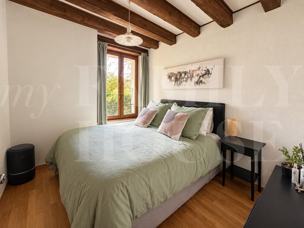 Spacieux appartement dans une magnifique propriété 8
