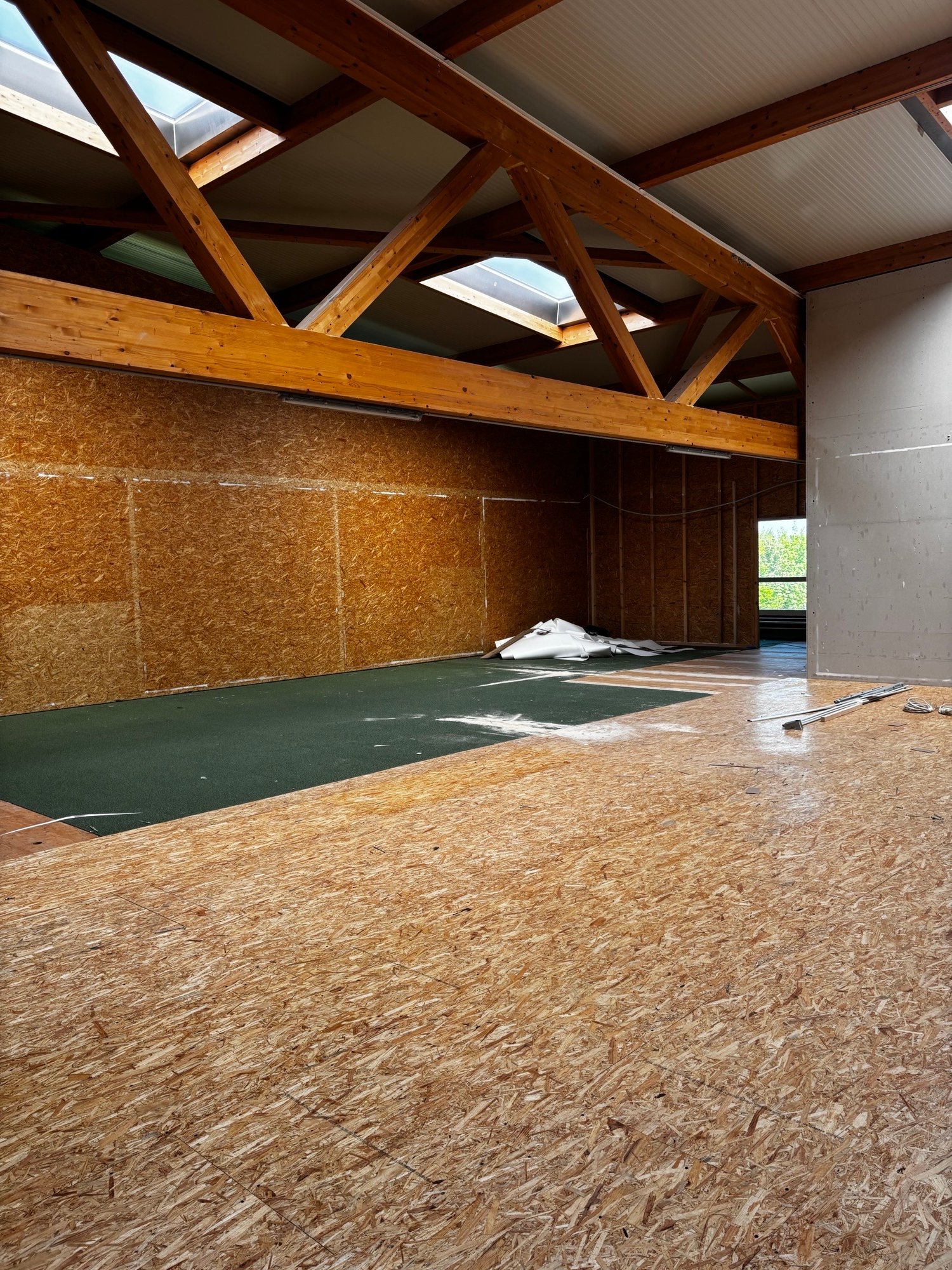 large room, wooden beams, unfinished walls, green carpet, wooden floor, skylights