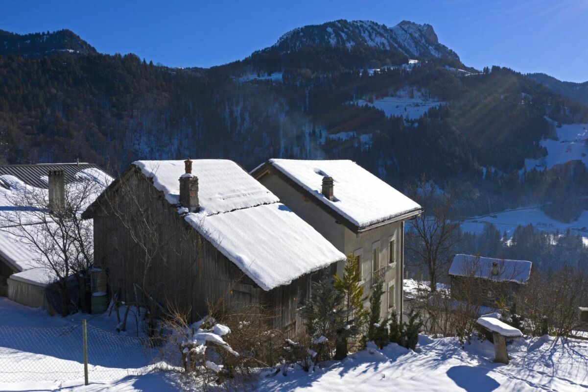 Maison de village 9.5 pièces au Sépey