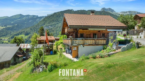 Chalet Le Grillon 20