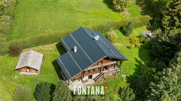CHALET AUTHENTIQUE DE 1840 - LES DIABLERETS 42