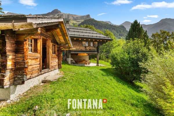 CHALET AUTHENTIQUE DE 1840 - LES DIABLERETS 32
