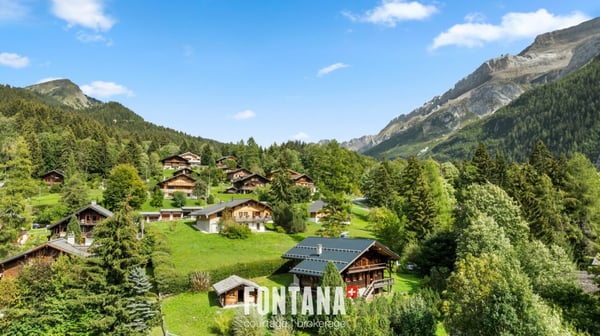 CHALET AUTHENTIQUE DE 1840 - LES DIABLERETS 39