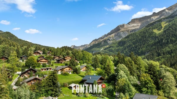 CHALET AUTHENTIQUE DE 1840 - LES DIABLERETS 40