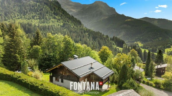 CHALET AUTHENTIQUE DE 1840 - LES DIABLERETS 37