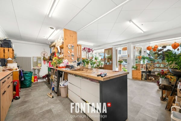 Chalet de caractère avec rendement locatif 24