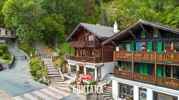 Chalet de caractère avec rendement locatif 29