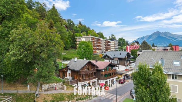 Chalet de caractère avec rendement locatif 27
