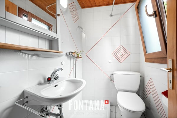 Chalet de caractère avec rendement locatif 9