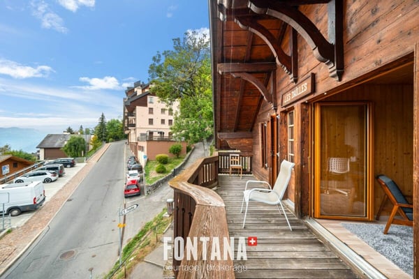 Chalet de caractère avec rendement locatif 21