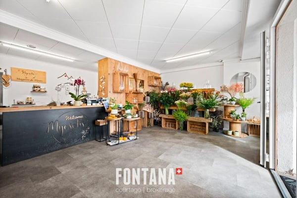 Chalet de caractère avec rendement locatif 23
