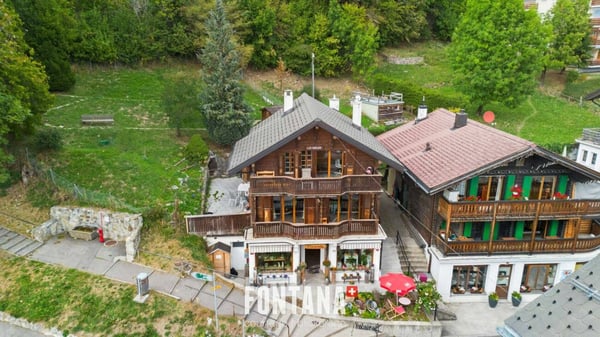 Chalet de caractère avec rendement locatif 28