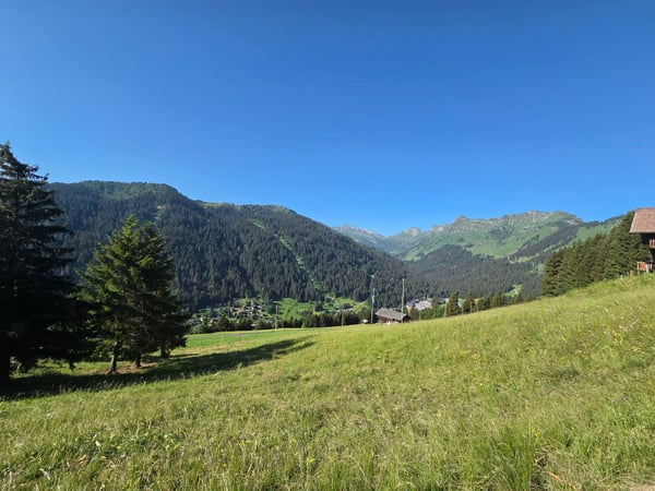 CHALET AUTHENTIQUE 2