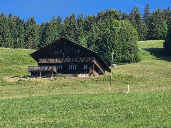 CHALET AUTHENTIQUE 1