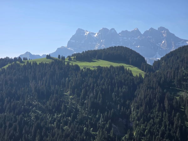 CHALET AUTHENTIQUE 3