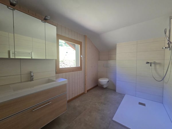 CHALET AUTHENTIQUE 12