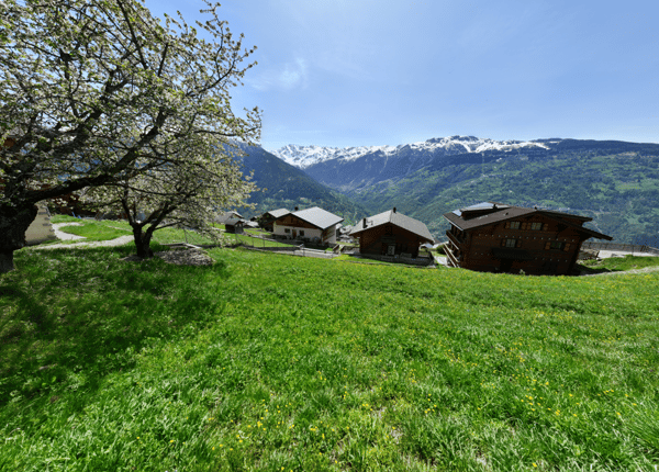 Terrain à bâtir libre de mandat avec vue panoramique à Suen (St-Martin), Val d'Hérens 4