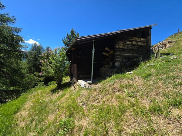 Objet rare au cœur du Val d’Hérens : authentique mayen dans les mayens de Suen (St-Martin) 21