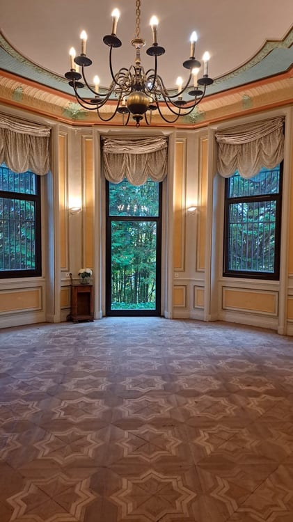 Gière - France Le Château des Arènes à vendre 8