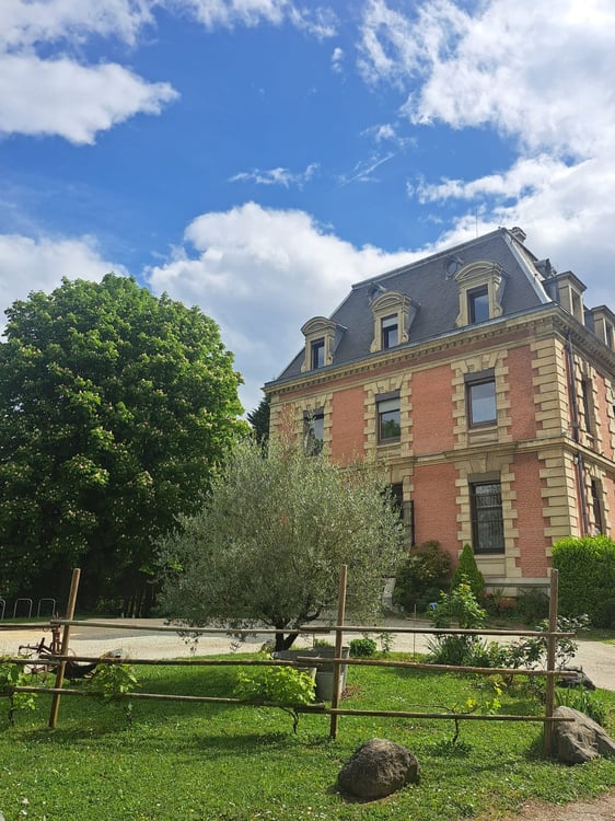 Gière - France Le Château des Arènes à vendre 9