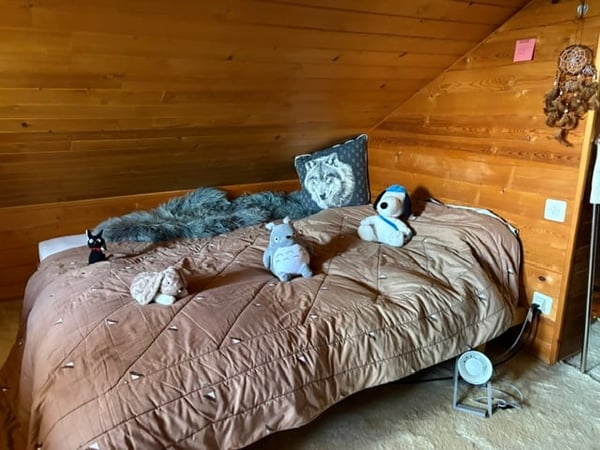 St-Cergue - chalet individuel avec vue sur les Alpes 18