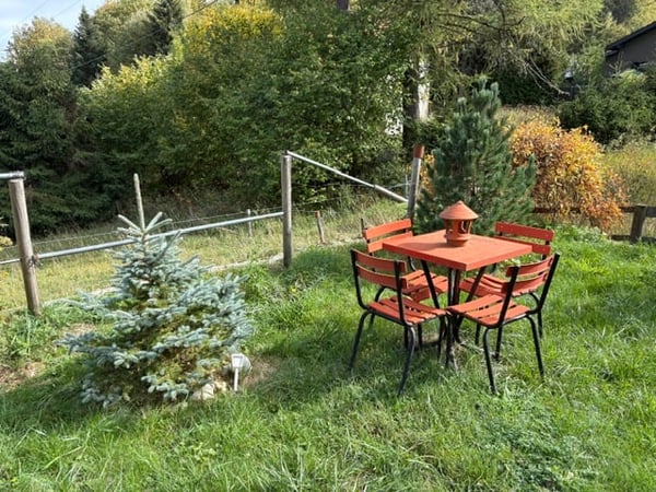 St-Cergue - chalet individuel avec vue sur les Alpes 6