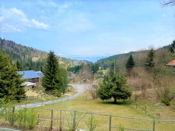 St-Cergue - chalet individuel avec vue sur les Alpes 8
