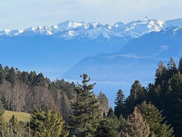 St-Cergue - chalet individuel avec vue sur les Alpes 1