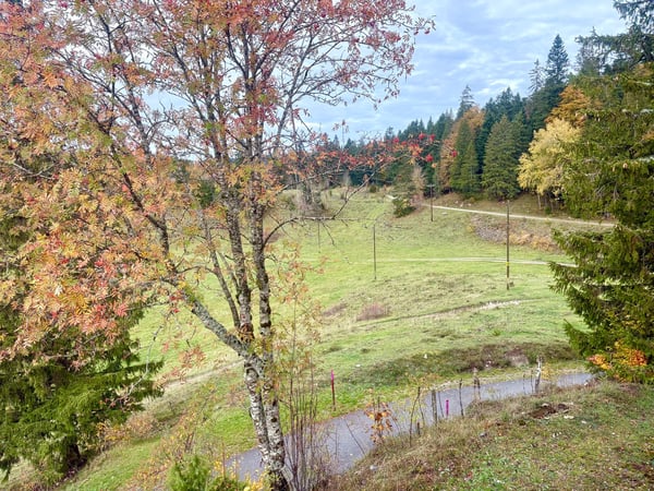 Chalet chaleureux de 3 pièces à St-Cergue avec vue et cachet montagnard 1