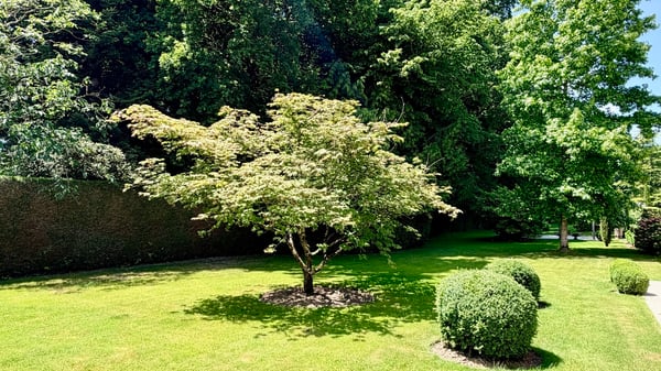 Une propriété d'exception à réinventer, au coeur d'un écrin de verdure 5
