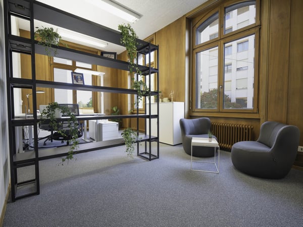 PRIVATE OFFICES von 10 m2 bis 2'000 m2 ab CHF 450 pro Monat OHNE DEPOT! 6