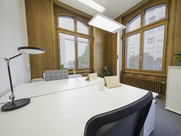 PRIVATE OFFICES von 10 m2 bis 2'000 m2 ab CHF 450 pro Monat OHNE DEPOT! 7