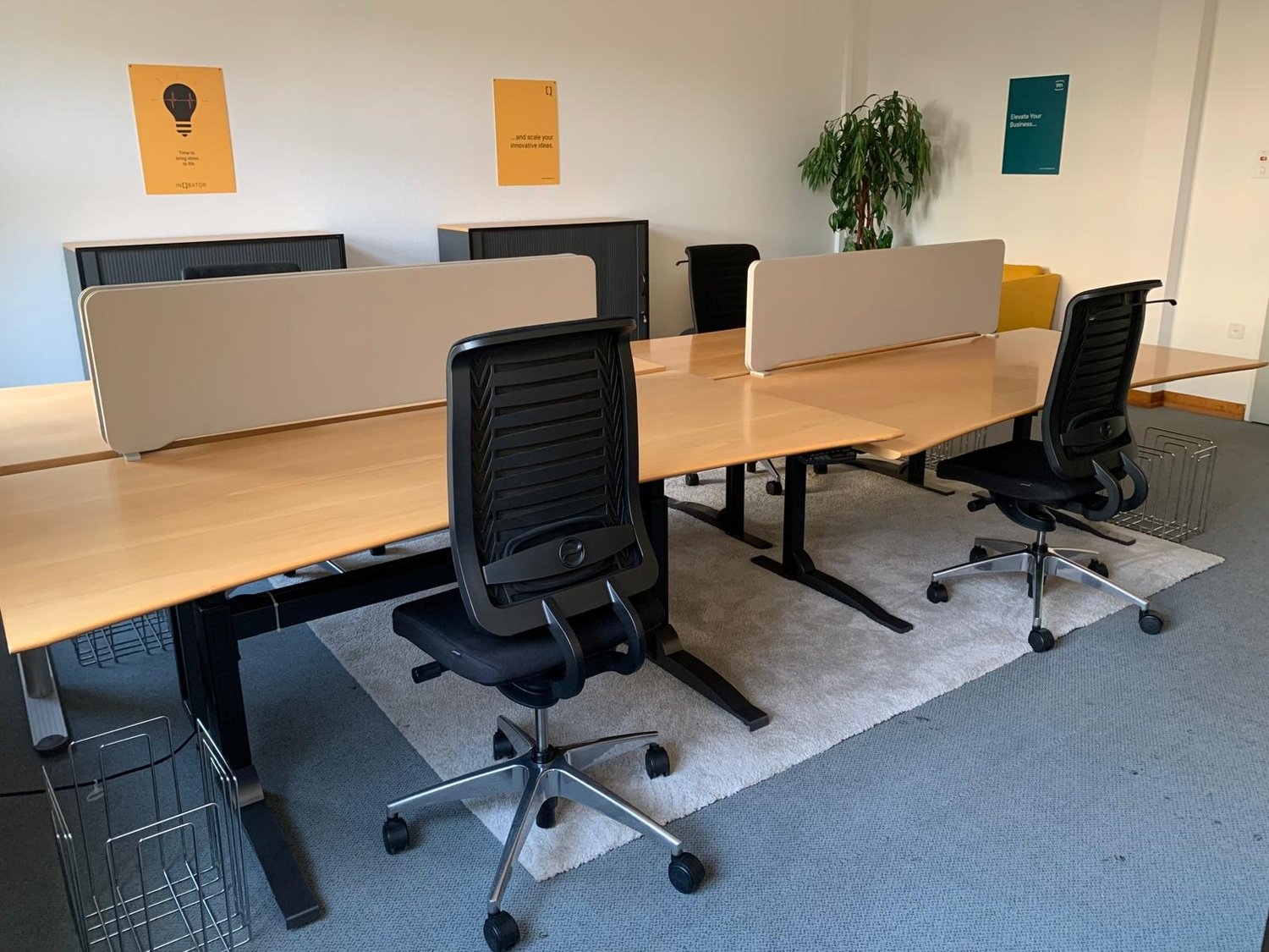 Empty office space with desks, office chairs, wall-mounted frames, and a potted plant.