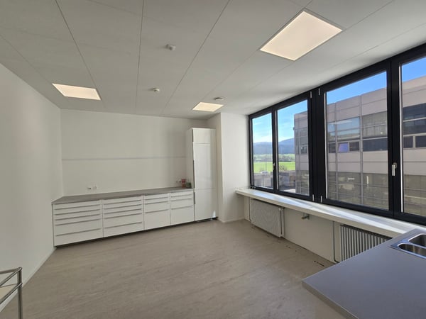 Flexible Räumlichkeiten im P201 in Aesch 3