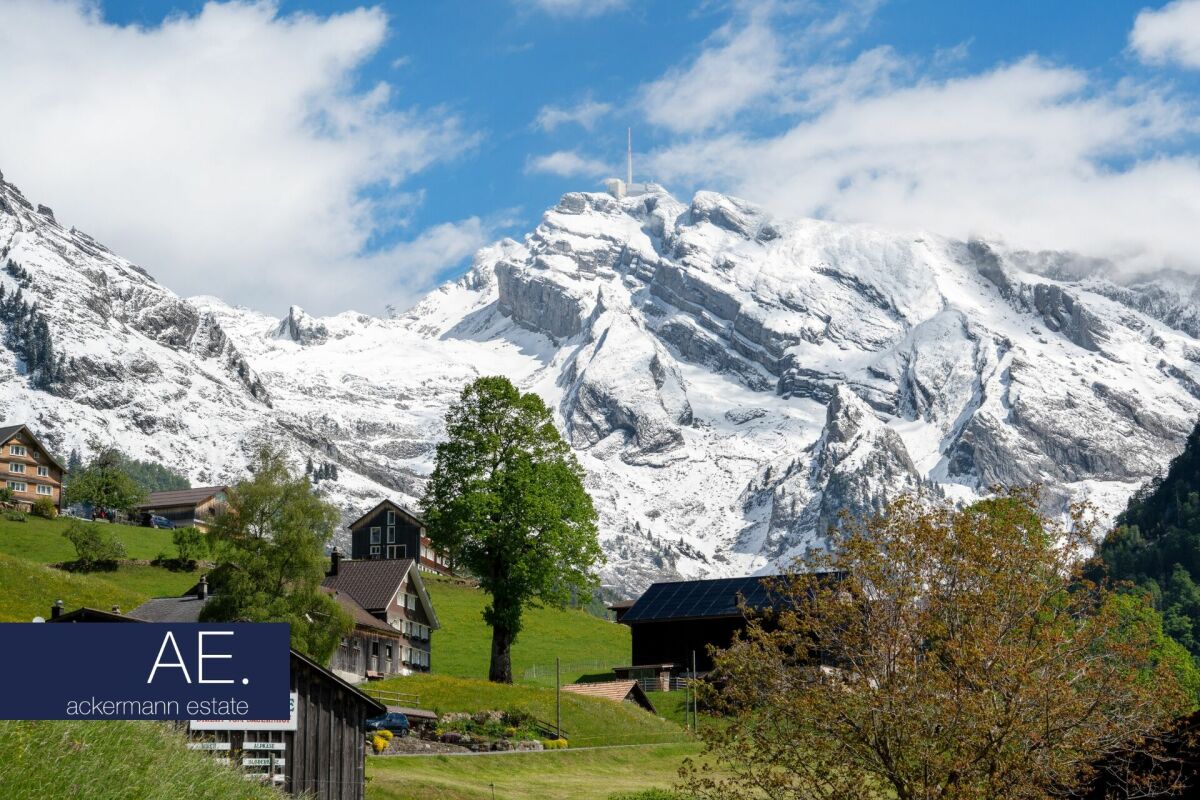 Alpine Eleganz - Zwischen Tradition und Moderne