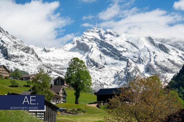 Alpine Eleganz - Zwischen Tradition und Moderne 4