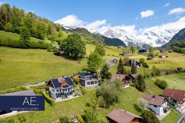 Alpine Eleganz - Zwischen Tradition und Moderne 2