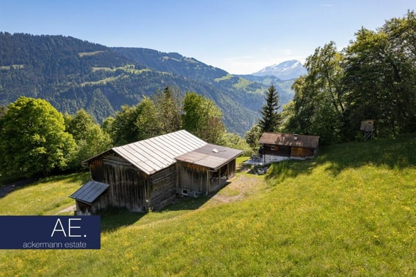Maiensäss inmitten weiter Bergwiesen 4