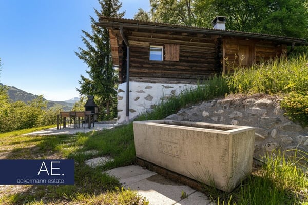 Maiensäss inmitten weiter Bergwiesen 3