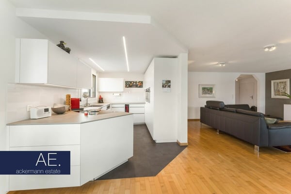 Wohnkomfort auf zwei Etagen - mit grosszügiger Dachterrasse 1