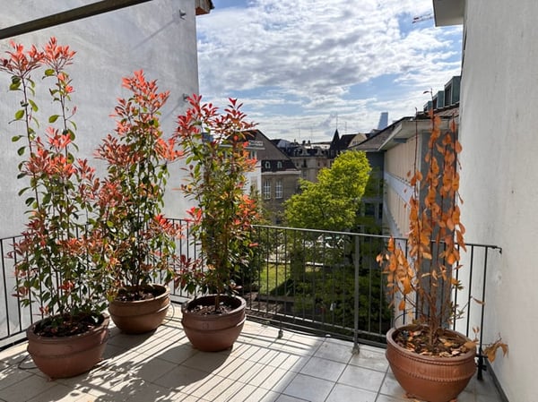 Möbliert, mit grosser Terrasse in Altstadt 18