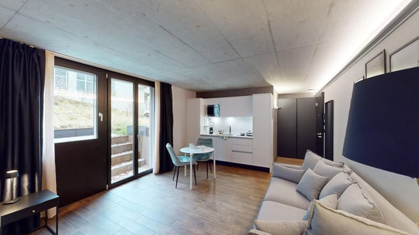 Topmodernes, möbliertes Appartement im Sternmattquartier 6