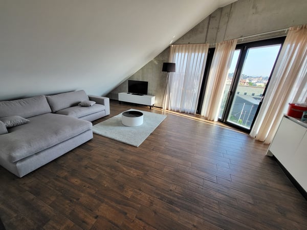 Topmodernes, möbliertes Appartement im Sternmattquartier 3